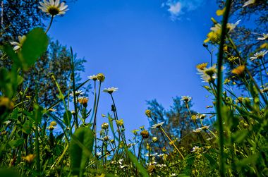 写真：ground earth view